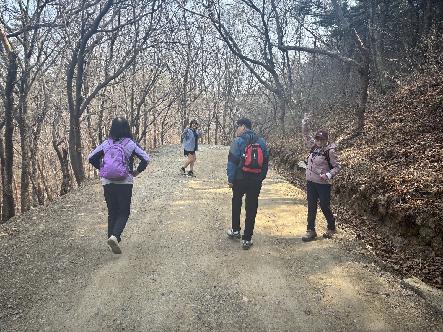 건강증진 프로젝트 