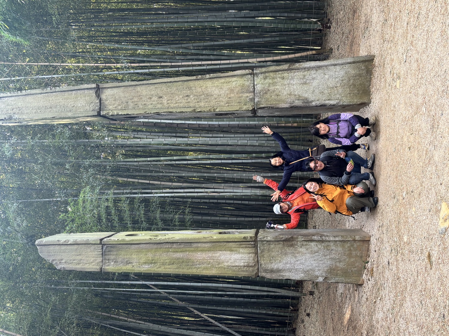 건강증진 프로젝트 