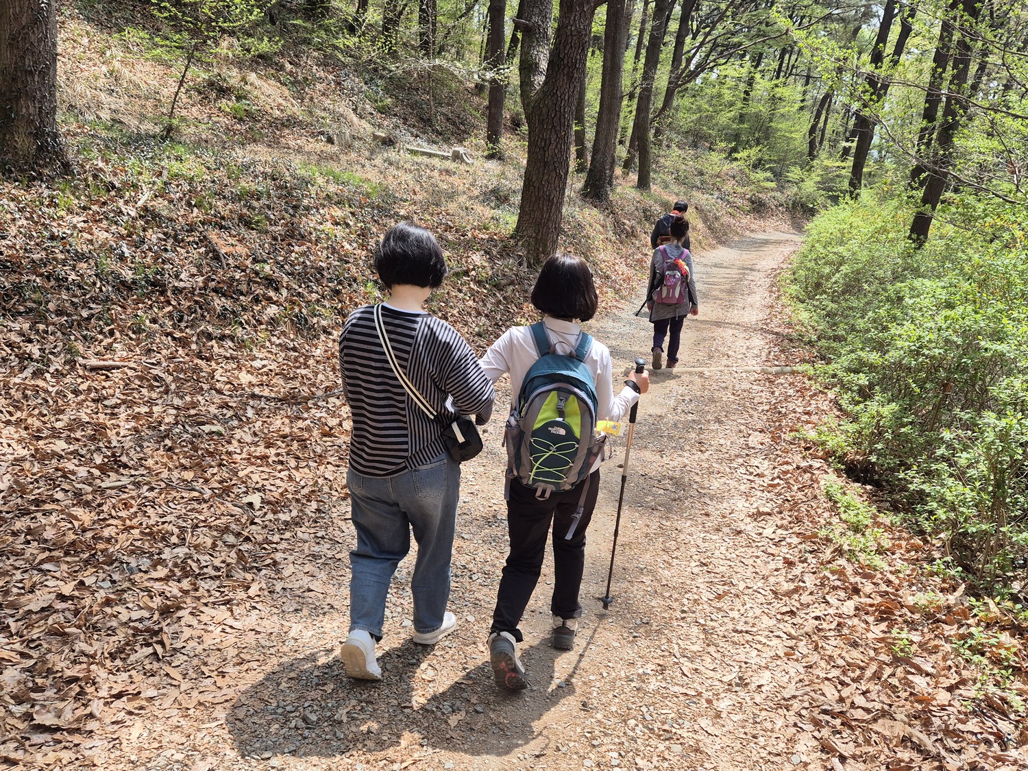 함께 오르자 