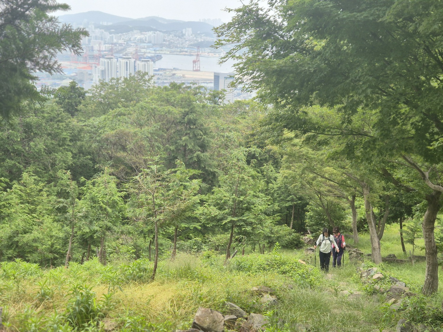 함께 오르자 